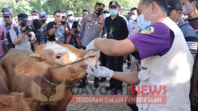 Jelang Hari Raya Idul Adha, Polres Madiun Lakukan Pengawasan Hewan Ternak
