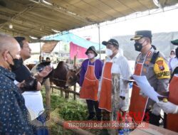 Pemkab Sidoarjo Menyediakan Lapak Resmi DiSeluruh Kecamatan Untuk Menjual Hewan Kurban Bagi Pedagang