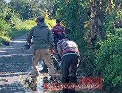 Menyambut Hari Raya Idul Adha,1443,H, Pemdes Desa Siring Agung Membersihkan Bahu Bahu Jalan