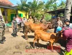 Cegah Penyebaran Virus PMK di Jember, TNI Polri Optimalkan Peran Bhabinkamtibmas dan Babinsa