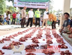 Polres Tanah Karo Juga Laksanakan Pemotongan Hewan Kurban