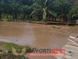 Akibat Derasnya Luapan Air Way Seputih Jembatan Alternatif Terputus