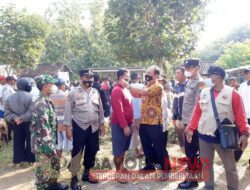 Cegah PMK, Babinsa Koramil Tipe B 0804/06 Maospati Beserta Dinas Terkait Pantau Pasar Hewan