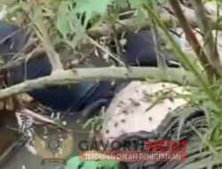 Penemuan Jasad Wanita Oleh Warga Di Sungai Tanpa Identitas