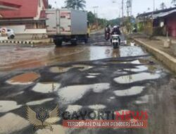 Jalan Provinsi di Minahasa Tenggara Rusak dan Berlubang Dimana-mana, Butuh Perhatian Dari Pemerintah Daerah SULUT