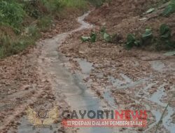 Jalan Penghubung Tiga Desa Tertutup Longsor Gunung, Jalan di Mamuju Tengah Tertutupi Tanah Longsor