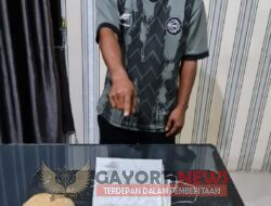 Satresnarkoba Polres Tanah Karo Berhasil Tangkap Pengedar Ganja