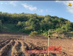 Tingkatkan Produksi Pangan, Kementerian PUPR Dukung Pengembangan Budidaya Jagung di Papua dan NTT