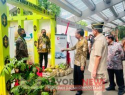 Di Stand Kodam Pattimura, Jokowi Cermati Sukun