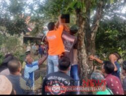 Seorang Pria Paruh Baya di Podosari Peringsewu Mengakhiri Hidupnya Menggantung Diri di Pohon Jambu
