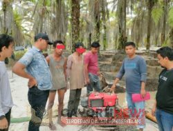 Kembali Satuan Tim Sepider Ungkap Kasus Pencurian 2 Traktor pembajak sawah Milik Gapoktan Bukit Menpari Sejahtera