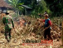 Wujud Kebersamaan, Babinsa Pos Wonodadi Gelar Kerja Bakti Bersama Warga Masyarakat