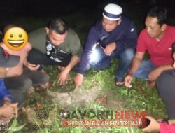 Gara-gara menyimpan Narkoba, T harus berurusan dengan Satgas Gakkum Pekat Marano