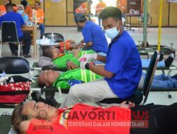 PT.NHM Kerjsama UDD PMI Provinsi Malut Selenggarakan Donor Darah di Tambang Gosowong