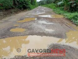 Kritikan Pedas Pemuda Pesisir Angkat Bicara Terkait Jalan Rusak Parah di Desa Budong-Budong Patulana dan Desa Tumbu