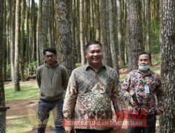 Pemanfaatan Kawasan Hutan Di Babel, Adet Mastur : Pansus Akan Mengeluarkan Rekomendasi Ke Pemerintah