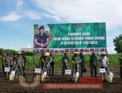 Dandim 1508 Tobelo Dampingi Pangdam XVI Pattimura Silaturrahmi Dengan Forkopimda Halut