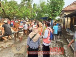 Pasar Hewan Ngawi Kembali Di Buka Pasca Wabah PMK Menyerang Ternak