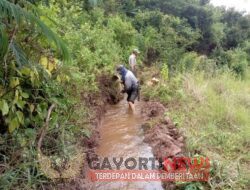Siring Antaran Sawah Dusun Buruk Belum Pernah tersentuh Bangunan Dari Pemerintah