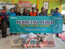 Cegah Banjir, Perhutani KPH Banyuwangi Peduli Antisipasi