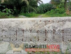 Belum Lama Dibangun Sudah Rusak Plat Dekker di Desa Tumbu Kecamatan Topoyo Kabupaten Mamuju Tengah