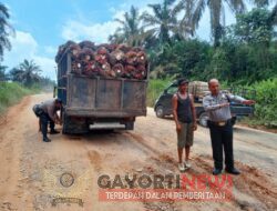 Kapolsek Kerinci Kanan Kanit Binmas dan Bhabinkamtibmas Desa Simpang Perak Jaya membantu truk angkutan buah sawit yang mogok.