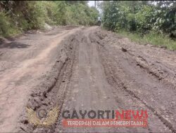 Masyarakat Desa Tanah Abang Keluhkan Akses Jalan Rusak Akibat Pengangkutan Material Proyek di Desa Pagar Agung SDI