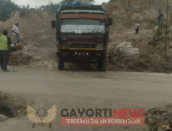 Gawat! Aset Negara Diperjualbelikan oleh Mafia