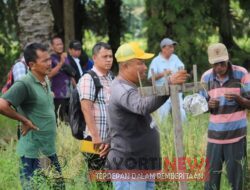 Selain Desa Selat Beting, Desa Sei Rakyat dan Sei Nahodaris Juga Termasuk Lokus Pada Penilaian PPD