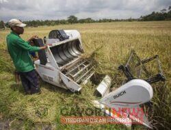 Bantuan 2 Unit Traktor Untuk Poktan Margo Mulyo dihargai 20 Juta Untuk Uang Trimakasih