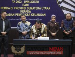 Bupati Labuhanbatu Serahkan LKPD TA.2022 Ke BPK-RI Perwakilan Sumatera Utara