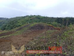 Di Duga Kepala Desa Tanjung Tiga Membuka lahan Kawasan Hutan Lindung Serta Membakar Membakar Lahan Di perkirakan Seluas ,Satu Setengah Hektar Di Wilyah Desa Tanjung Tiga.