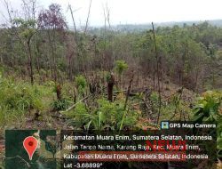 Tim Penyidik Polres Muara Enim Lakukan Olah TKP Terkait Laporan LSM Galaksi Muara Enim Bersa jajarannya Terkait Pembakaran Kebun Karet Milik Sarmadi