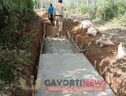 Oknum Camat Semnde Darat Laut Bungkam Saat Di mintai Keterangan Terkait pembangunan Jalan Usaha Tani Di Desa Perapau di kerjakan Asal Jadi