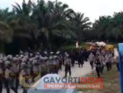 Tidak nya tuntutan karyawan,buruh PT DUTAT PALMA bentrok dengan sejumlah oknum aparat