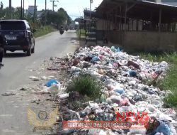 Diduga Tidak Ada Pengawasan Pemerintah Tumpukan Sampah Menjamur di Sepanjang Jalan Industri Tanjung Morawa