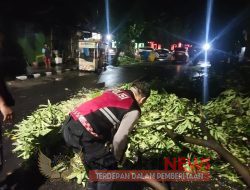 Polisi Tangani Pohon Tumbang gercep Jalur Mudik Kota Kediri 