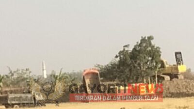 Tambang Ilegal di Desa Jogodalu, Sawah Dikeruk untuk Urug, Omzet Penambang Ditaksir Puluhan Juta Per hari