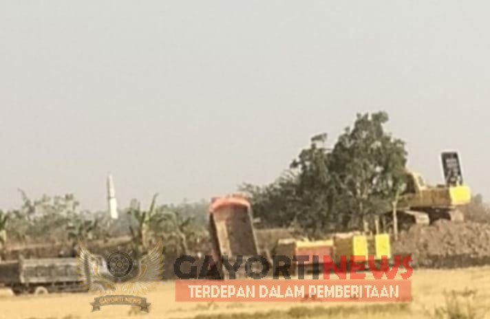 Tambang Ilegal di Desa Jogodalu, Sawah Dikeruk untuk Urug, Omzet Penambang Ditaksir Puluhan Juta Per hari