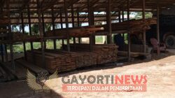 PEMILIK PENGUSAHA KAYU LOKAL DAN BELIAN MILIK (L) DI AIR RUPAS, MERASA HEBAT DAN KEBAL HUKUM “